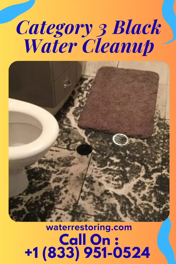 Category 3 Black Water Cleanup in Middleton, WI