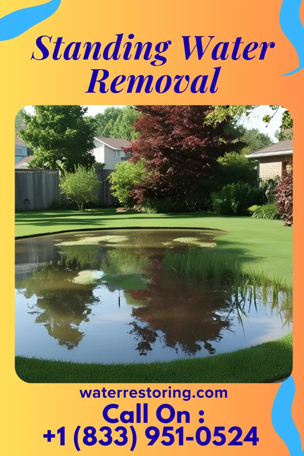Standing Water Removal in Middleton, WI